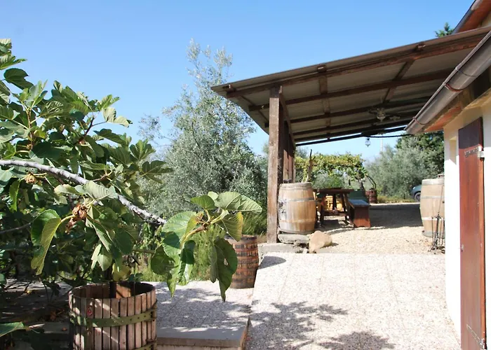 Il Frantoio, Loft Rurale, Con Bbq E Giardino In Pontifogno