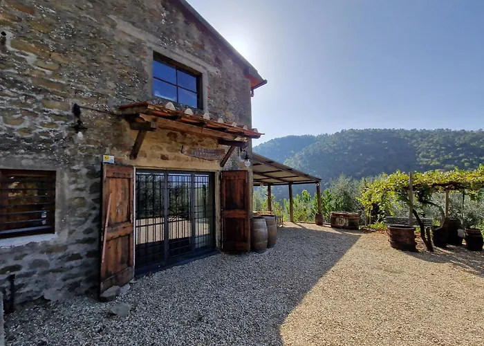 Il Frantoio, Loft Rurale, Con Bbq E Giardino In Pontifogno
