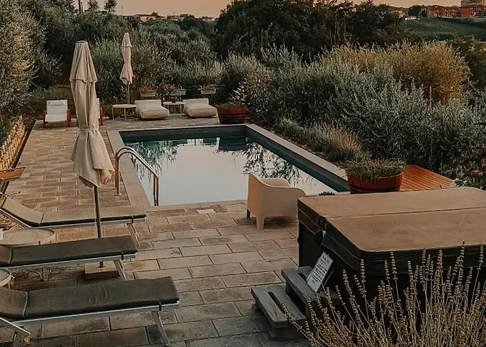 The Olive Grove In Tuscany